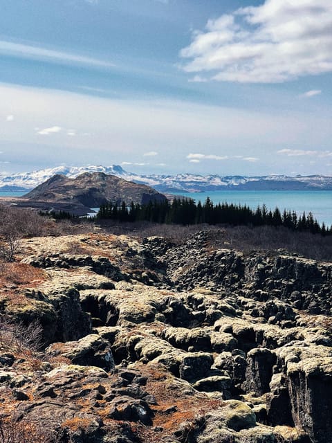 From Reykjavik: Classic Golden Circle Full Day Tour - Lunch, Fridheimar, and What Is Not Included