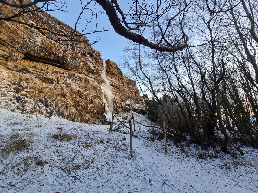 From Reykjavik: Explore the Waterfalls of the South Coast - Thorstein’s Grove and Gluggafoss