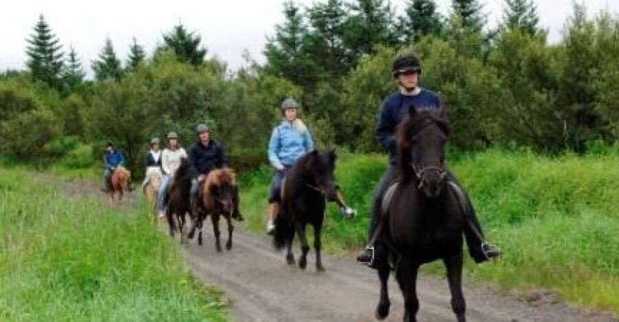 From Reykjavik: Full-Day Horse Riding & Golden Circle Tour - Two hours on an Icelandic horse