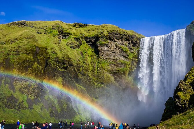 From Reykjavik: Full Day Private South Coast Tour in Iceland - Dyrholaey: finish high above the coast