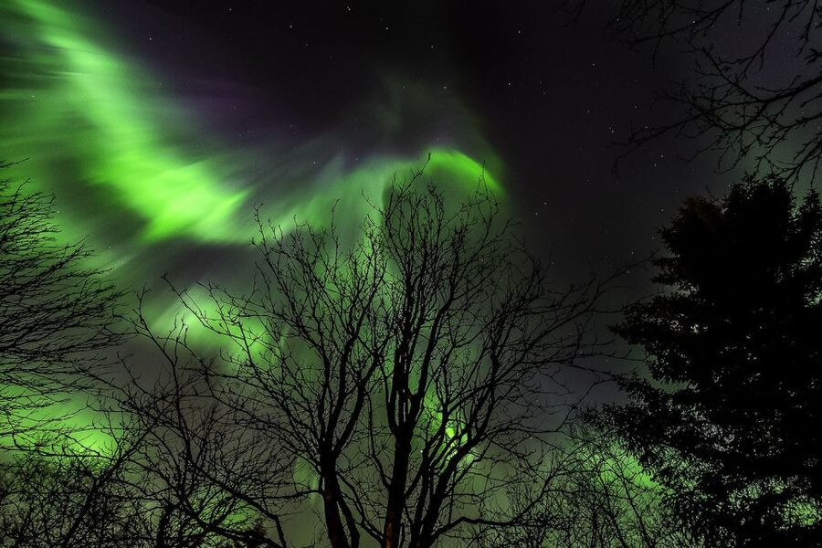 From Reykjavik: Golden Circle and Northern Lights Tour - Clothing and comfort in Icelandic winter