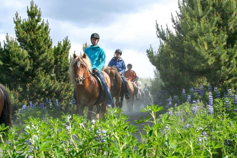 From Reykjavík: Icelandic Horse Riding Tour in Lava Fields - Riding across Iceland’s volcanic ground
