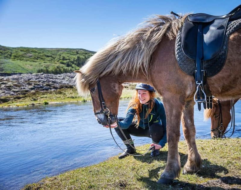 From Reykjavík: Icelandic Horse Riding Tour in Lava Fields - Choosing a horse and learning the basics
