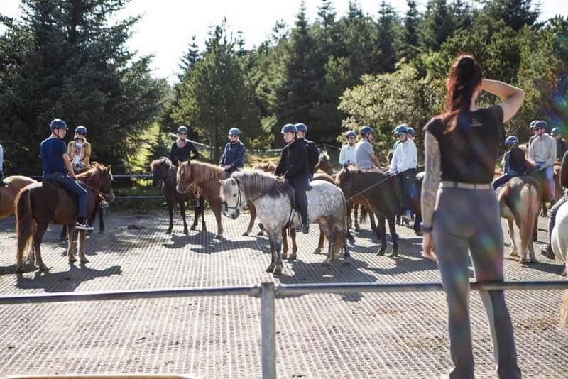From Reykjavík: Icelandic Horse Riding Tour in Lava Fields - The 1.5-hour ride through lava and hills