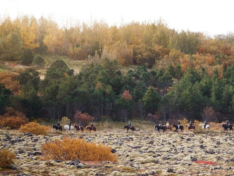 From Reykjavík: Icelandic Horse Riding Tour in Lava Fields - Who will enjoy this ride most?