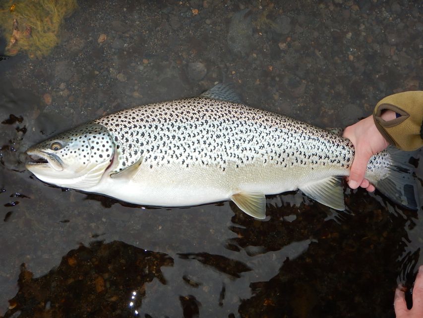 From Reykjavik: Lake and River Fishing Tour - What the guides add to the day