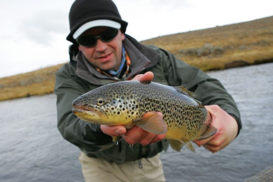 From Reykjavik: Lake and River Fishing Tour - Getting set up with rods, permits, and instruction