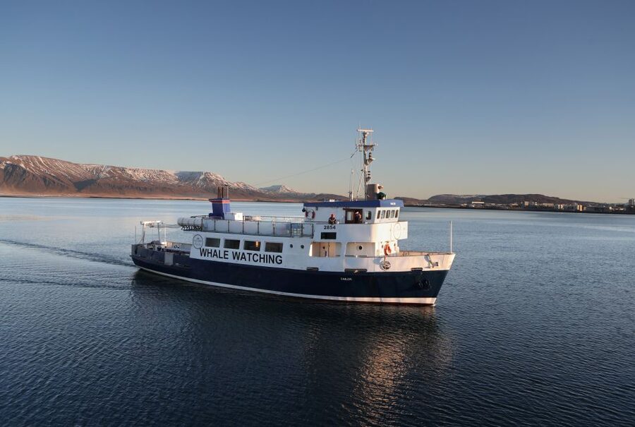 From Reykjavik: New Years Fireworks by Boat - Why watch Reykjavik’s fireworks from a boat?