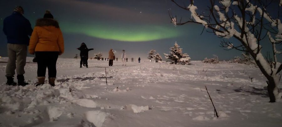 From Reykjavik: Northern Lights Chase with Expert Guide - What the evening is really like