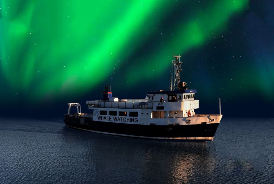 From Reykjavik: Northern Lights Sightseeing Cruise - Leaving Reykjavik for a darker sky