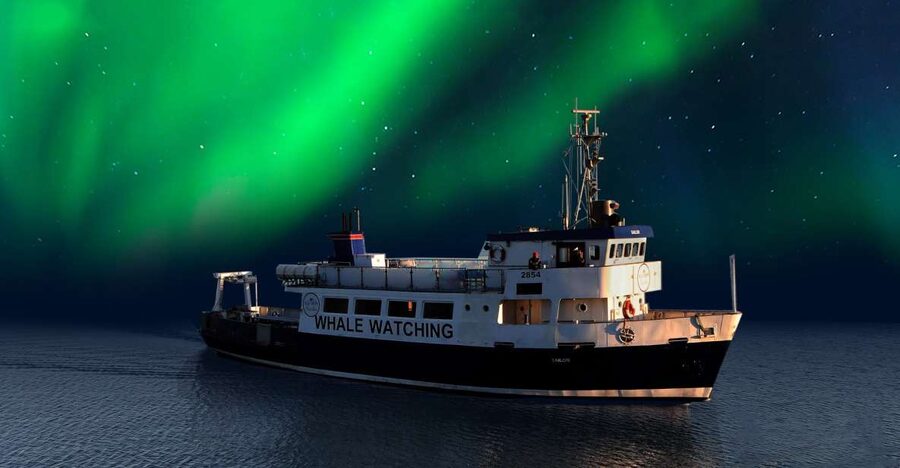 From Reykjavik: Northern Lights Sightseeing Cruise - What the guide adds when the sky is uncertain