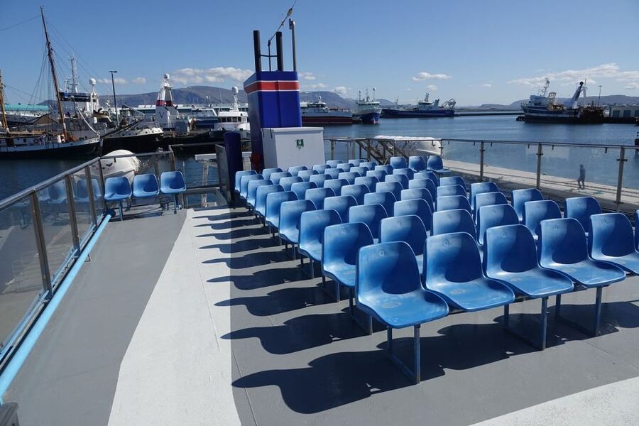 From Reykjavik: Northern Lights Sightseeing Cruise - If you do not see the aurora