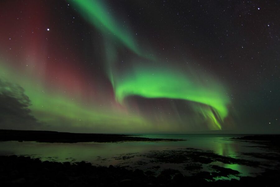 From Reykjavik: Northern Lights Tour - What this Northern Lights tour is really like