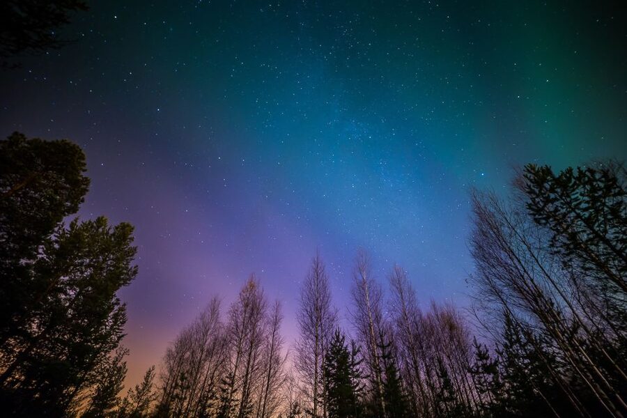 From Reykjavik: Northern Lights Tour - The cold is not a minor detail