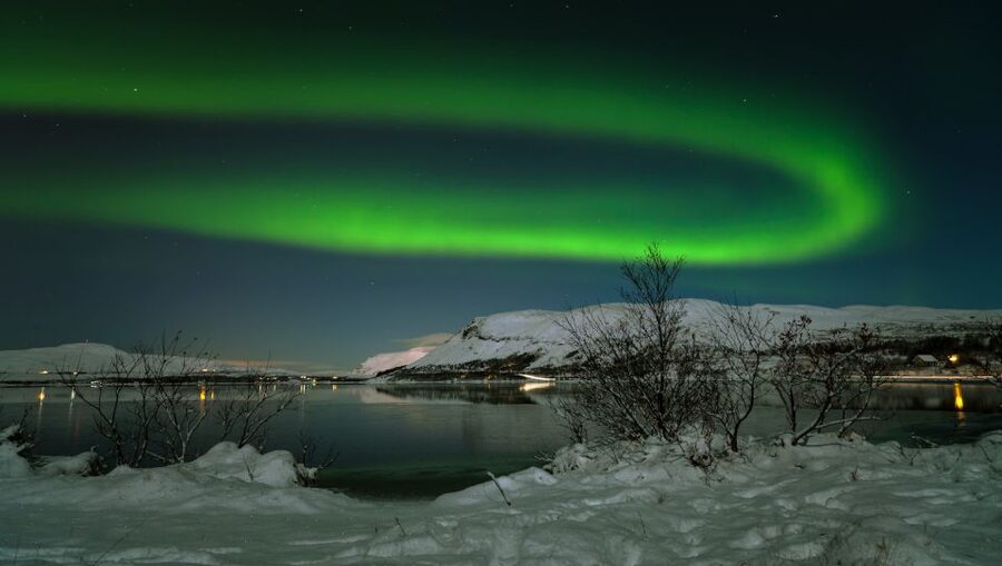 From Reykjavik: Northern Lights Tour with Lifetime Guarantee - Coach comfort and the realities of a group trip