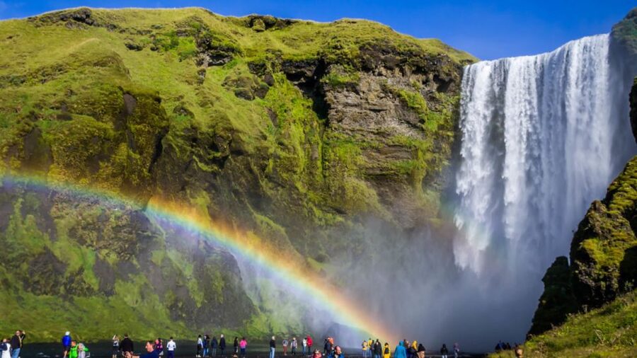 From Reykjavik: Private South Coast Tour in Iceland - Solheimajokull: a close look at glacial ice