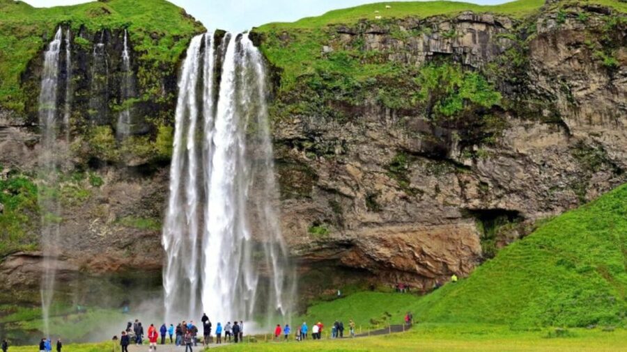 From Reykjavik: Private South Coast Tour in Iceland - Dyrholaey: a seasonal finish above the coast