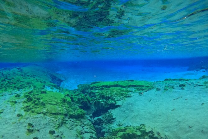 From Reykjavik- Silfra Snorkeling transfer included - Who should book Silfra snorkeling