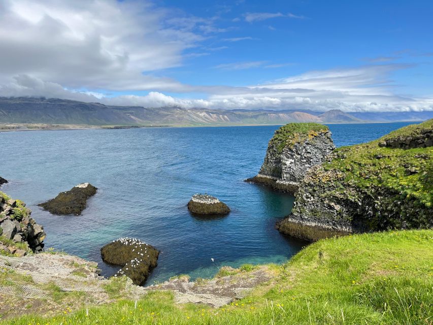 From Reykjavik: Snæfellsnes Full-Day Tour with Homemade Meal - Key points to know before booking