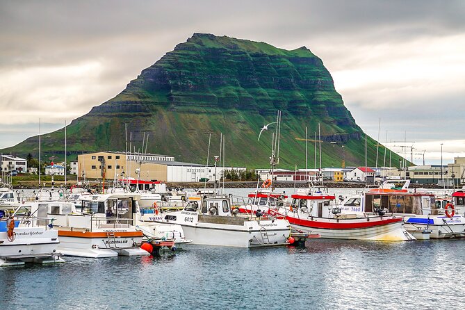 From Reykjavík: Snaefellsnes & Kirkjufell Small Group Day Tour - Ytri Tunga brings golden sand and seals