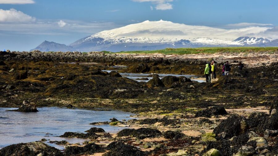 From Reykjavik: Snaefellsnes National Park - Small Group - Djúpalónssandur and the volcanic coast