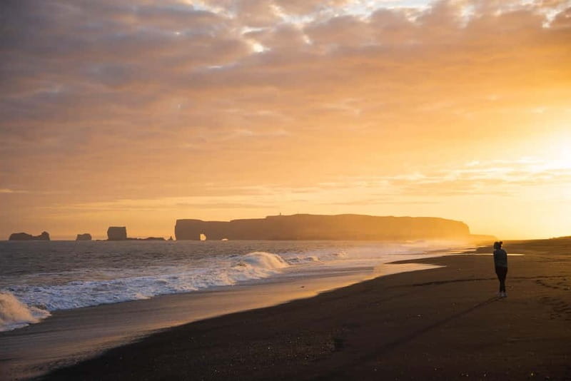 From Reykjavík: South Coast Highlights Day Tour - Seljalandsfoss and the chance to walk behind water