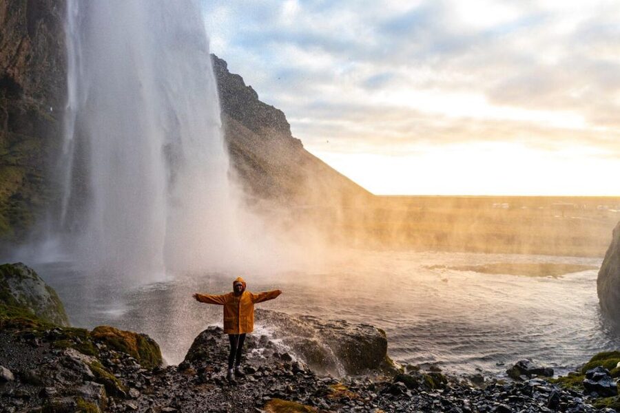 From Reykjavik: South Coast Tour & DC-3 Plane Wreck - Dyrhólaey cliffs and the summer puffin chance