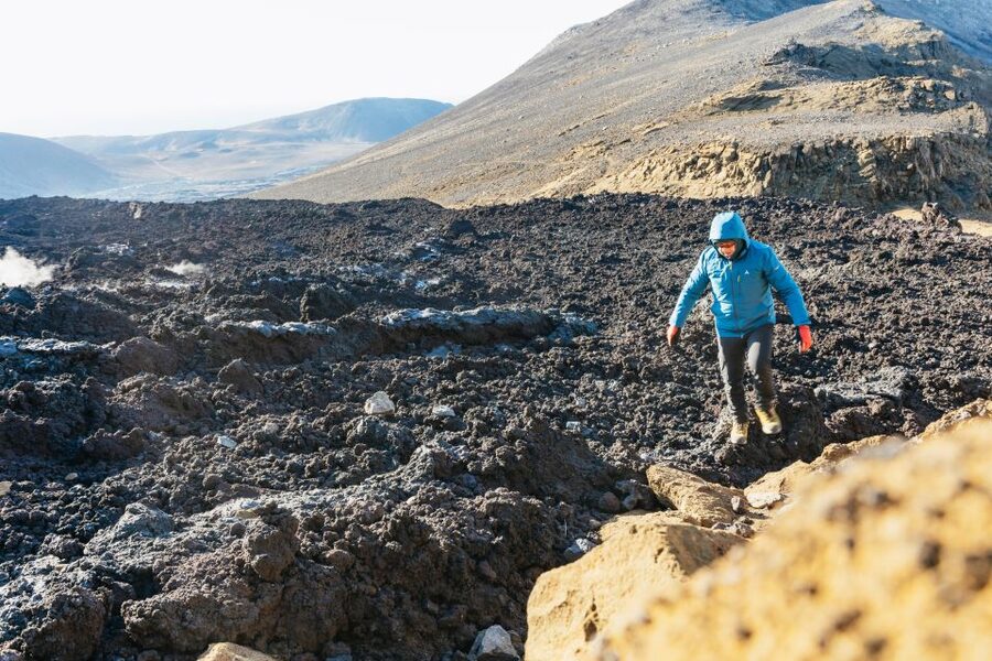 From Reykjavík: Volcanoes and Blue Lagoon Day Trip - Who should book this experience
