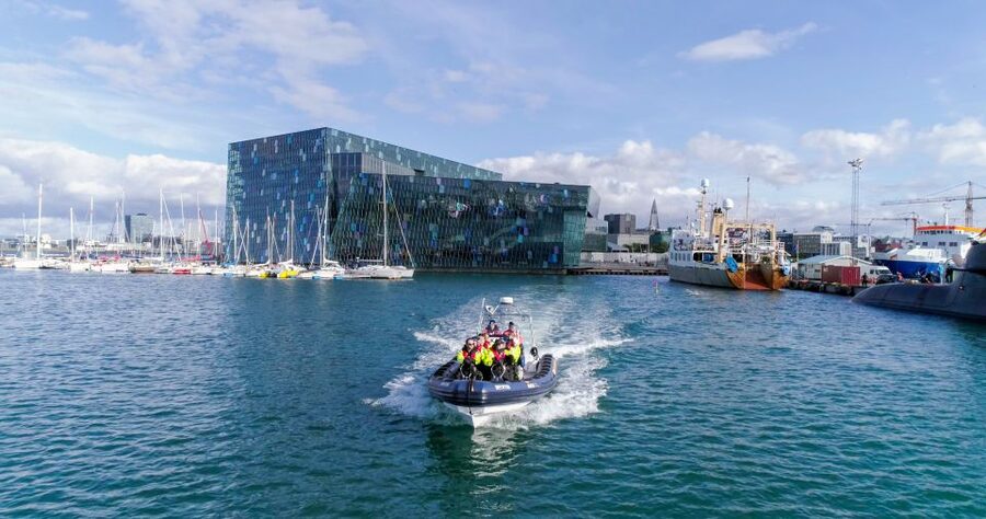 From Reykjavik: Whale Watching Tour by Speedboat - Should you book the Katla RIB tour?