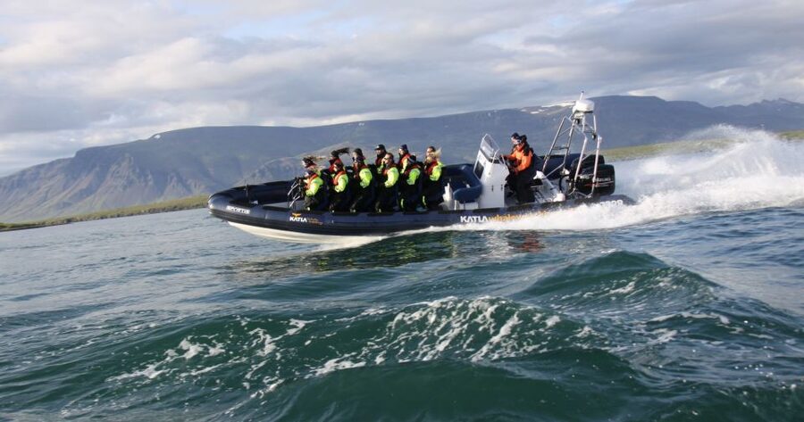 From Reykjavik: Whale Watching Tour by Speedboat - Who should book this trip