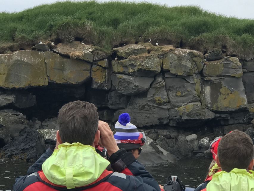 From Reykjavik: Whale Watching Tour by Speedboat - Practical details before you go