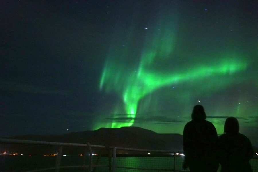 From Reykjavik: Whales and Northern Lights Boat Tour - Should you book it?
