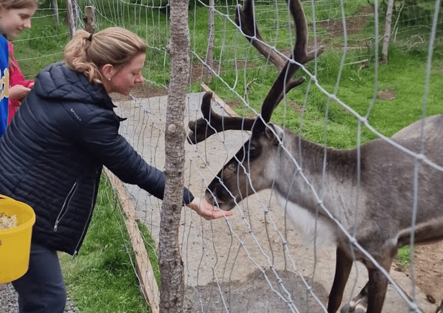 From Seyðisfjörður Port: Stuðlagil Canyon and Reindeer Park - What the guide adds to the experience