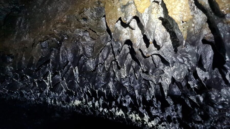 Geological Lava Tunnel Adventure - Arnarker Cave - Is $214 a fair price?