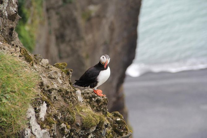 Glacier Lagoon, Diamond Beach, Black Sand Beaches and Waterfalls - Reynisfjara and Dyrhólaey: dramatic views with real hazards