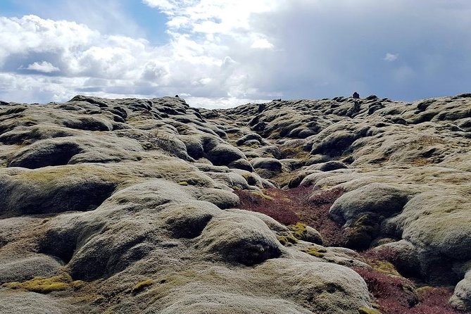 Glacier Lagoon & South Coast. Private Day Tour - Diamond Beach and the ice on black sand