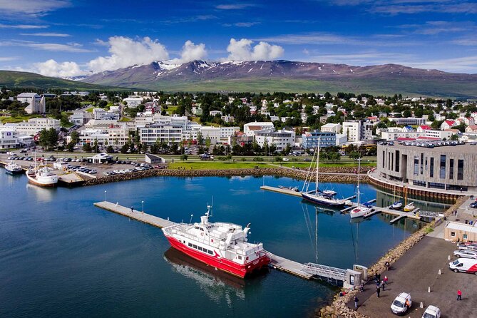 Goðafoss Waterfall & Forest Lagoon from Akureyri Port - Grenjaðarstaður Shows Iceland Before Modern Comfort