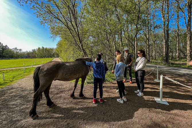 Golden Circle and Lunch at Fridheimar Tomato Farm - with photos - What a 12-person group changes