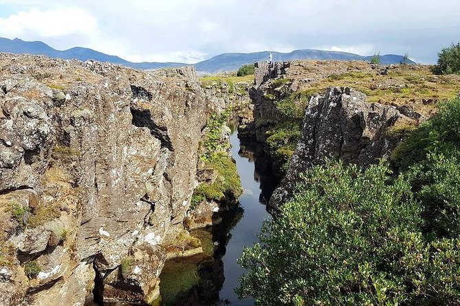 Golden Circle Express. Private Tour from Reykjavik - Haukadalur and Strokkur: a reliable geothermal show