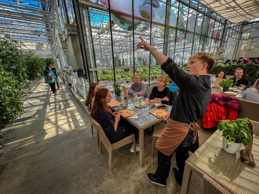 Golden Circle & Lunch at Fridheimar Tomato Farm- with photos - Friðheimar lunch: tomato soup with a view