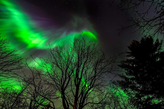 Golden Circle & Northern lights in Iceland - Thingvellir: parliament, geology, and a good first stop