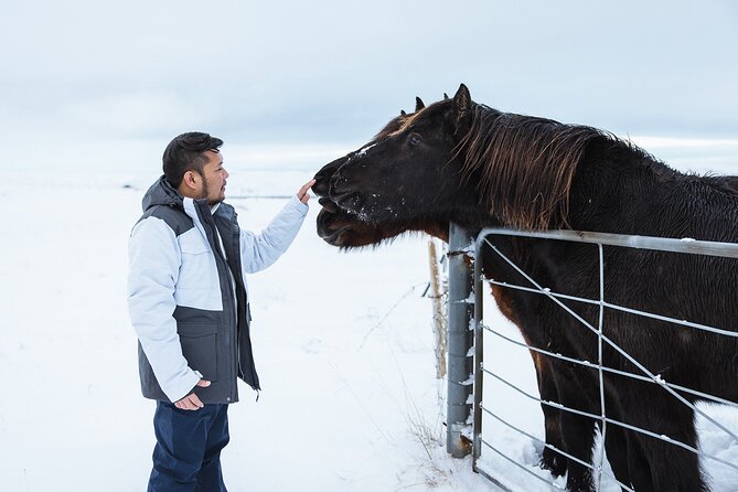 Golden Circle | Private Tour | PRO Photo Package - Thingvellir: walking between two continental plates