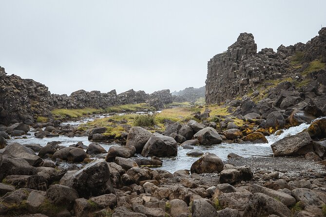 Golden Circle | Private Tour | PRO Photo Package - Friðheimar: lunch inside a working tomato farm
