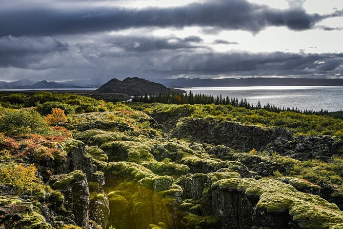 Golden Circle, Secret Lagoon & Friðheimar (Small Group) - Friðheimar turns geothermal heat into lunch