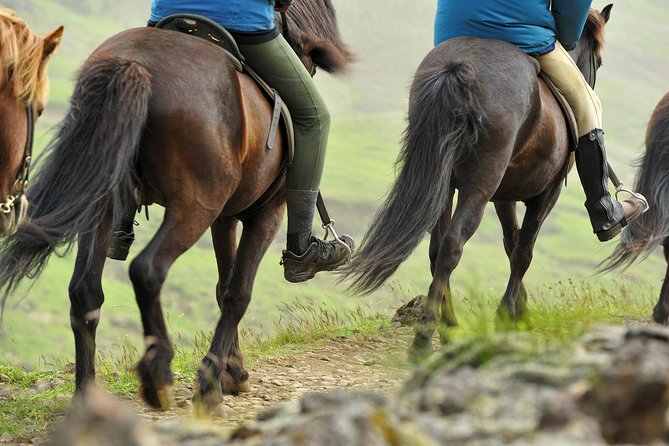 Golden Circle & Viking Horse Experience - Þingvellir, where Iceland’s story begins