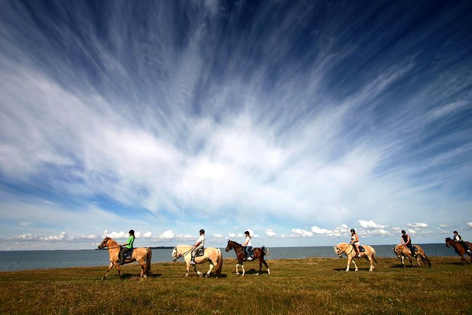 Golden Circle & Viking Horse Experience - Geysir, steam, and sudden bursts of water
