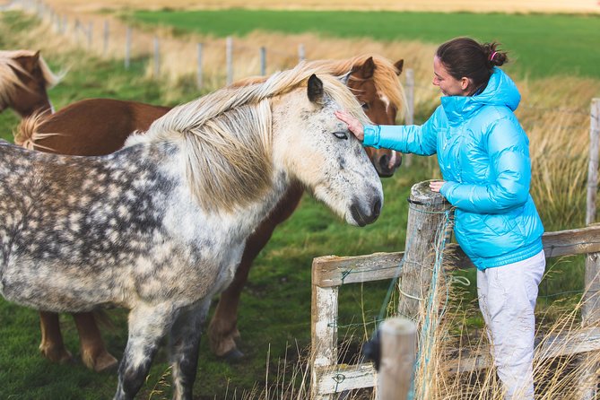 Golden Circle & Viking Horse Experience - How guided is the day?