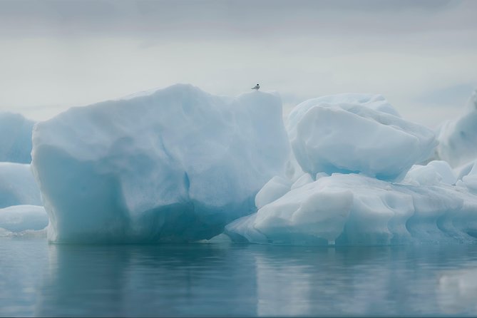 Guided Glacier Lagoon and Diamond Beach Day Trip from Reykjavik - Jökulsárlón Glacier Lagoon, where icebergs drift toward the sea