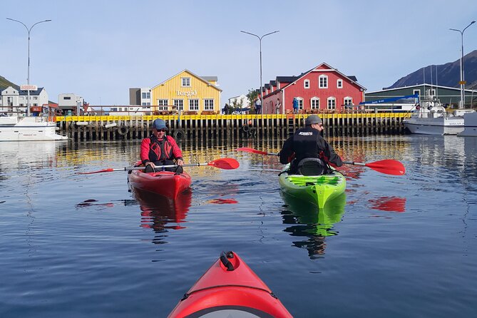 Guided kayak tour in Siglufjörður / Siglufjordur. - Key points to know before you paddle