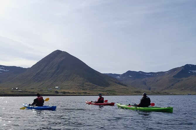 Guided kayak tour in Siglufjörður / Siglufjordur. - Why Siglufjörður works so well from a kayak
